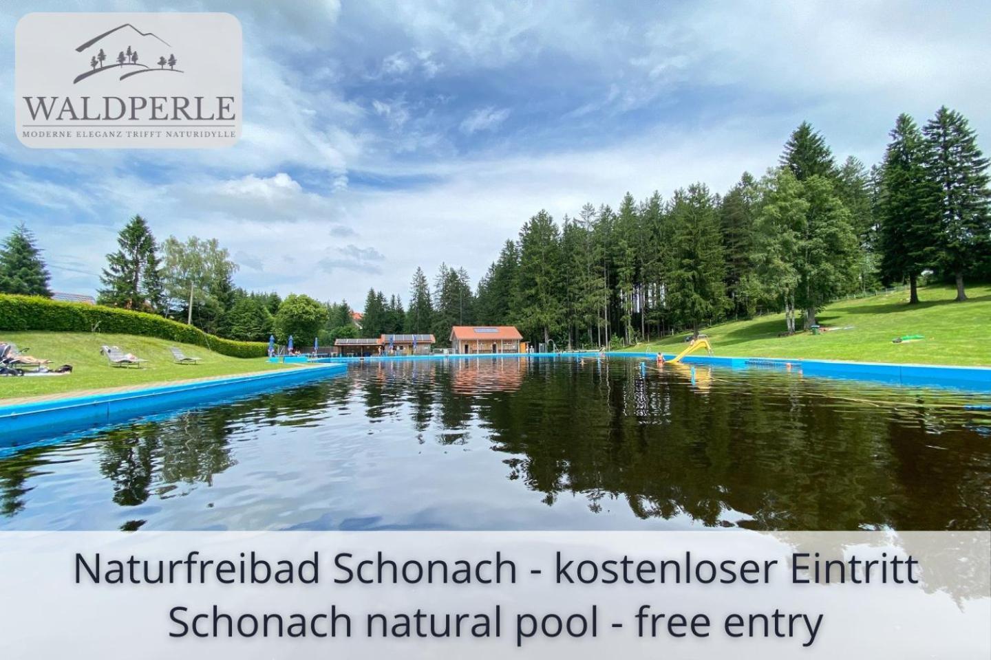Exklusives 5-Sterne Apartment Waldperle Mit Indoor-Pool, Sauna, Top Lage Und Ausblick In Die Natur, Hunde Willkommen Schonach im Schwarzwald Екстериор снимка