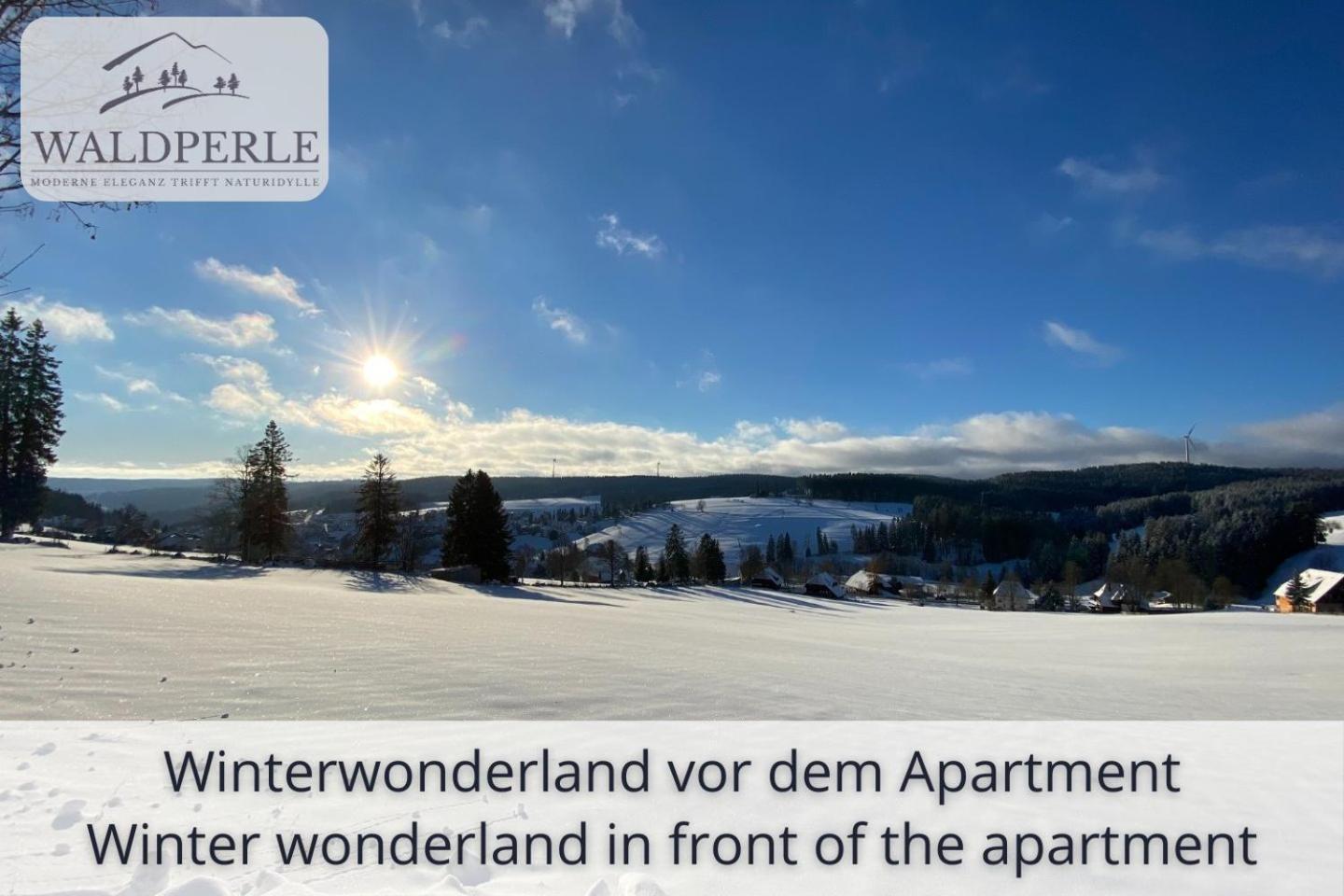 Exklusives 5-Sterne Apartment Waldperle Mit Indoor-Pool, Sauna, Top Lage Und Ausblick In Die Natur, Hunde Willkommen Schonach im Schwarzwald Екстериор снимка