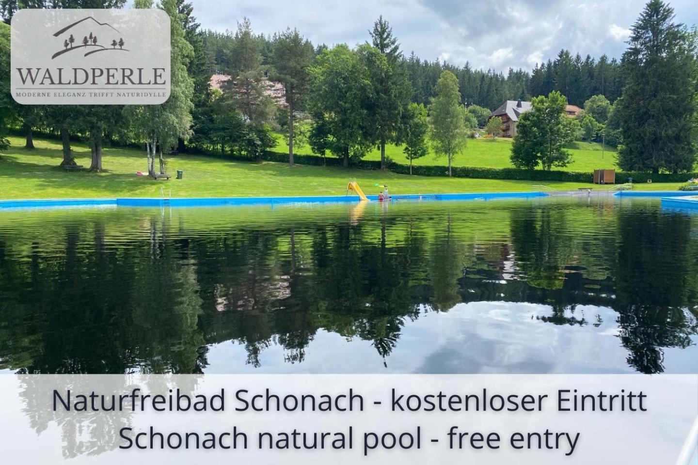 Exklusives 5-Sterne Apartment Waldperle Mit Indoor-Pool, Sauna, Top Lage Und Ausblick In Die Natur, Hunde Willkommen Schonach im Schwarzwald Екстериор снимка