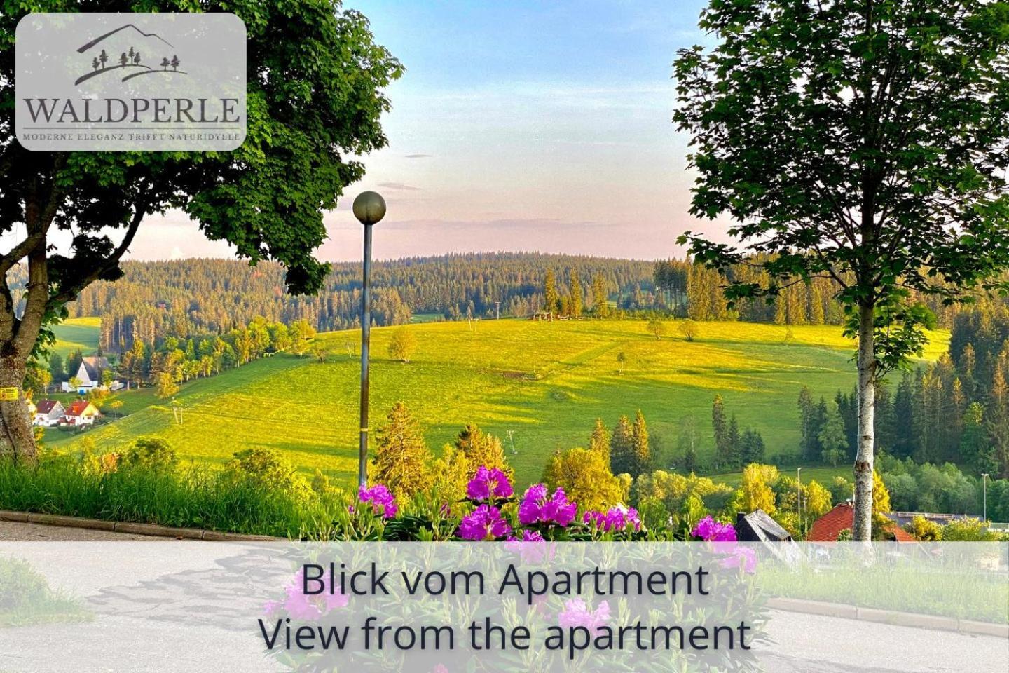 Exklusives 5-Sterne Apartment Waldperle Mit Indoor-Pool, Sauna, Top Lage Und Ausblick In Die Natur, Hunde Willkommen Schonach im Schwarzwald Екстериор снимка