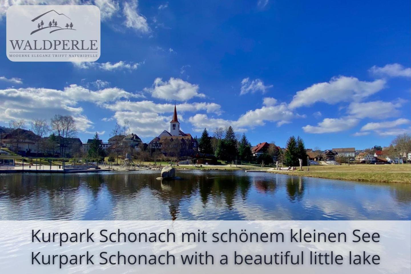 Exklusives 5-Sterne Apartment Waldperle Mit Indoor-Pool, Sauna, Top Lage Und Ausblick In Die Natur, Hunde Willkommen Schonach im Schwarzwald Екстериор снимка